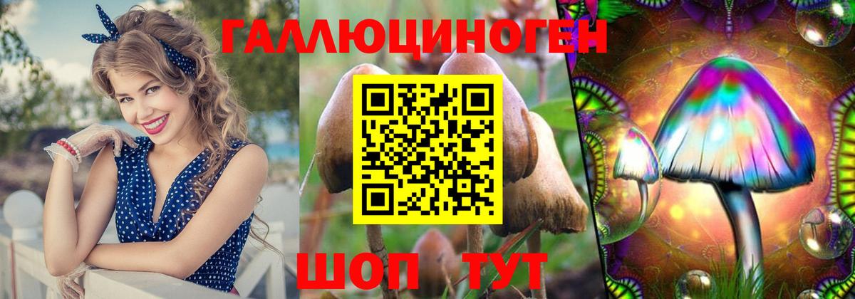 Псилоцибиновые грибы Psilocybe Саранск